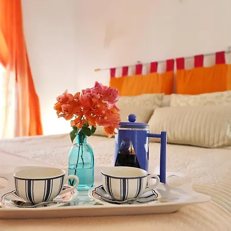 Sofia In فيلة كالاو سالفاجي